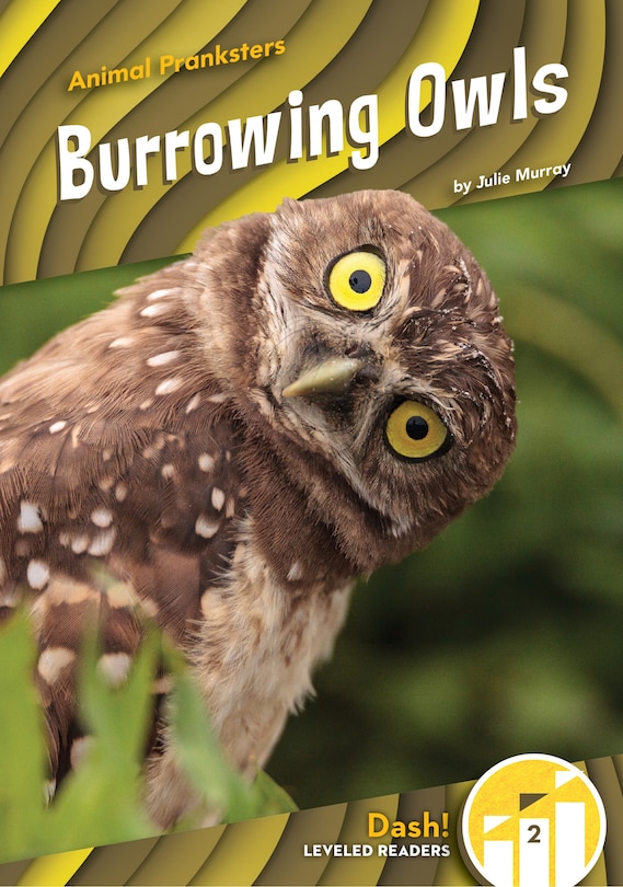 Couverture_Burrowing Owls