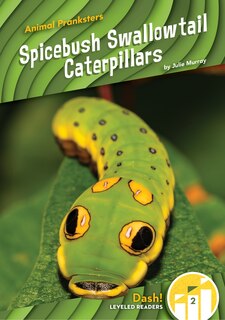 Couverture_Spicebush Swallowtail Caterpillars