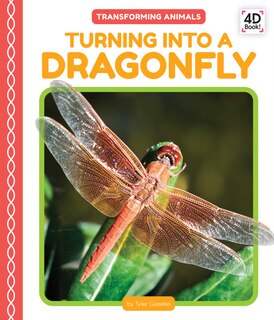 Front cover_Turning Into a Dragonfly