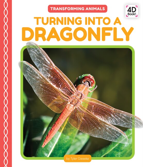 Front cover_Turning Into a Dragonfly