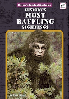 Couverture_History's Most Baffling Sightings