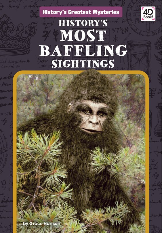 Couverture_History's Most Baffling Sightings