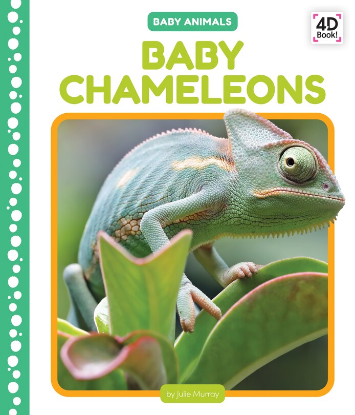 Couverture_Baby Chameleons