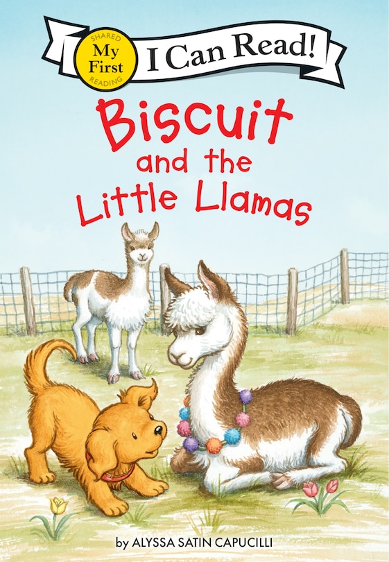 Couverture_Biscuit and the Little Llamas