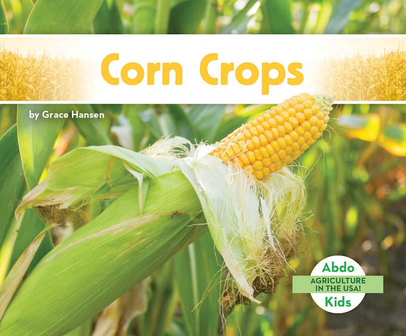 Corn Crops