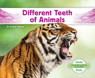 Different Teeth of Animals