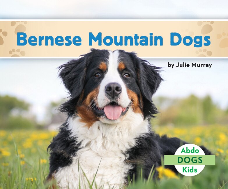 Bernese mountain hot sale dog lego