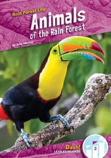 Front cover_Animals of the Rain Forest