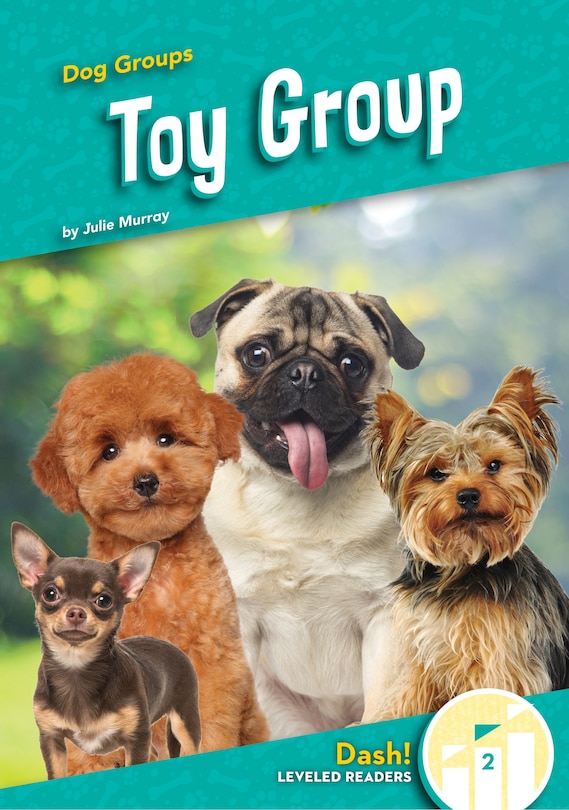 Front cover_Toy Group