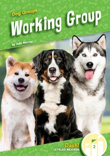 Front cover_Working Group