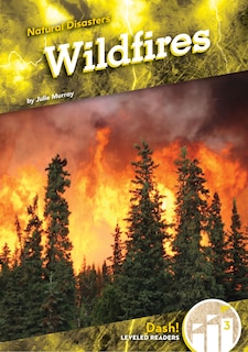 Front cover_Wildfires