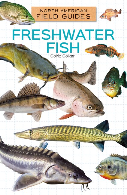 Front cover_Freshwater Fish