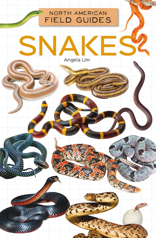 Couverture_Snakes