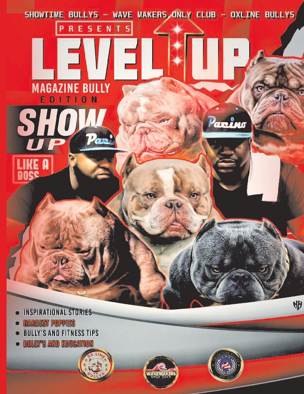 Front cover_Level Up Magazine Bully Edition