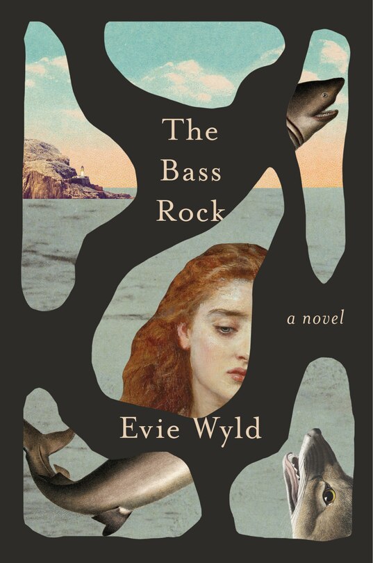 Front cover_The Bass Rock