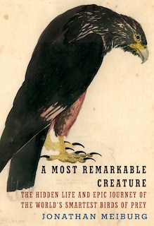 Couverture_A Most Remarkable Creature