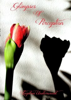 Front cover_Glimpses of Perception