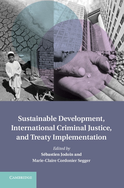 Front cover_Sustainable Development, International Criminal Justice, and Treaty Implementation