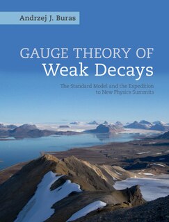 Front cover_Gauge Theory Of Weak Decays