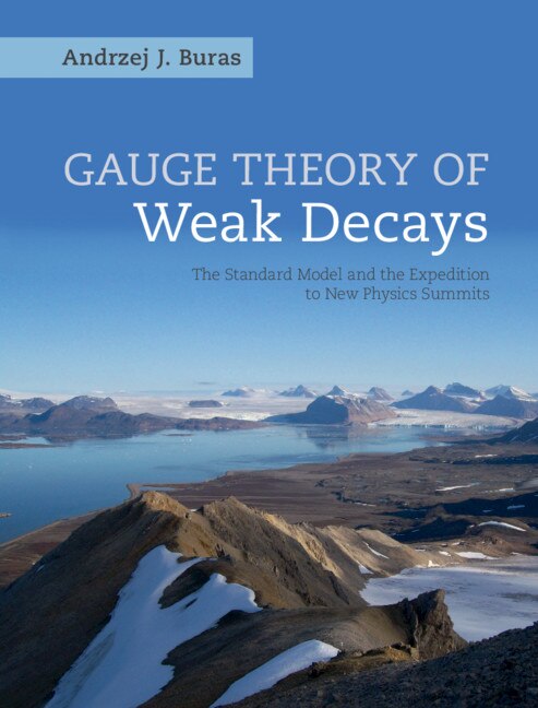 Front cover_Gauge Theory Of Weak Decays