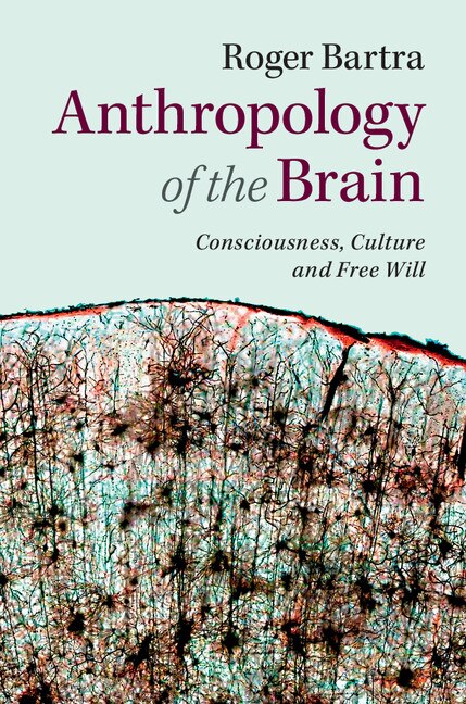 Front cover_Anthropology Of The Brain