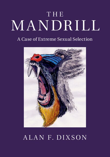 Couverture_The Mandrill