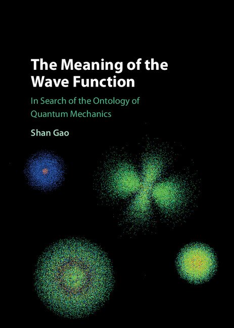 Front cover_The Meaning Of The Wave Function