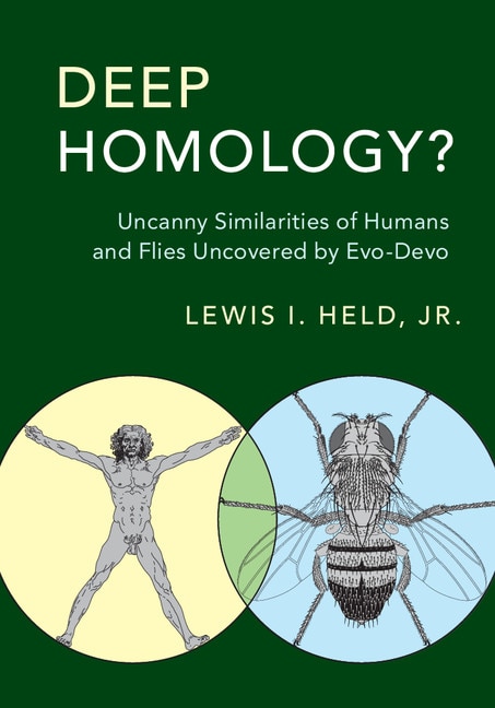 Couverture_Deep Homology?