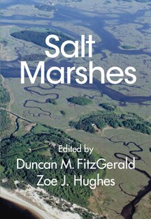 Couverture_Salt Marshes
