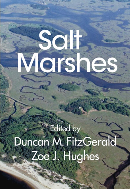 Couverture_Salt Marshes