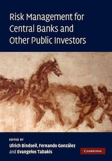Couverture_Risk Management for Central Banks and Other Public Investors