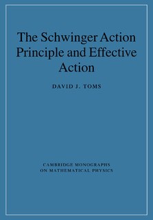 Couverture_The Schwinger Action Principle and Effective Action
