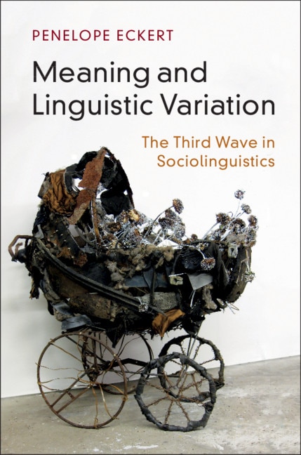Front cover_Meaning And Linguistic Variation