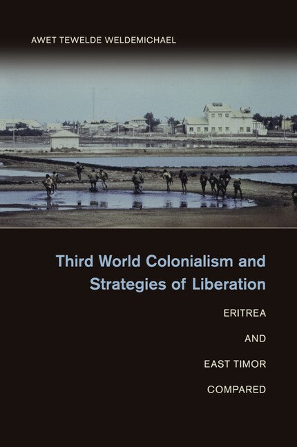 Couverture_Third World Colonialism And Strategies Of Liberation
