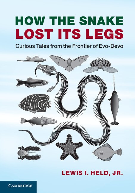 Front cover_How The Snake Lost Its Legs