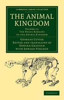 Couverture_The Animal Kingdom