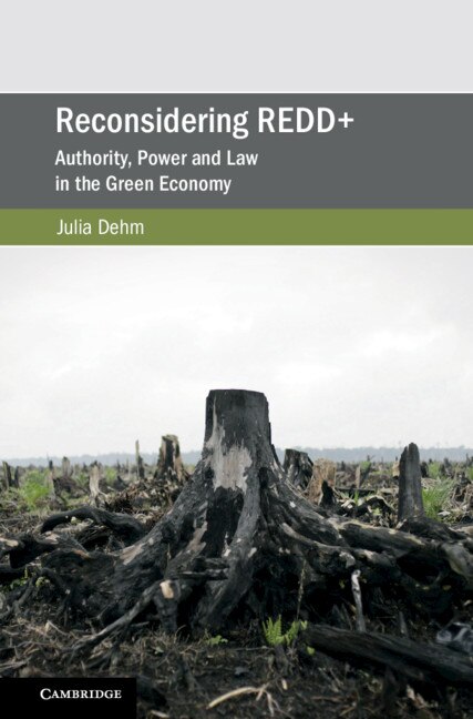 Couverture_Reconsidering Redd+