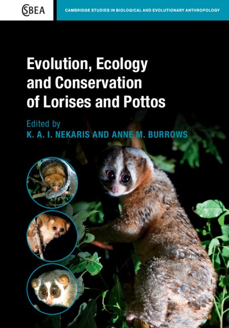 Front cover_Evolution, Ecology And Conservation Of Lorises And Pottos