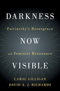Front cover_Darkness Now Visible