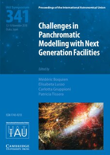 Couverture_Challenges In Panchromatic Modelling With Next Generation Facilities (iau S341)