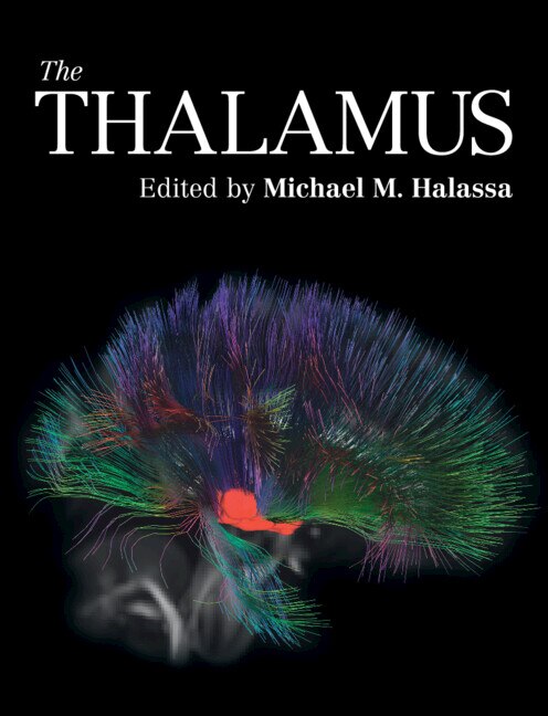 Front cover_The Thalamus