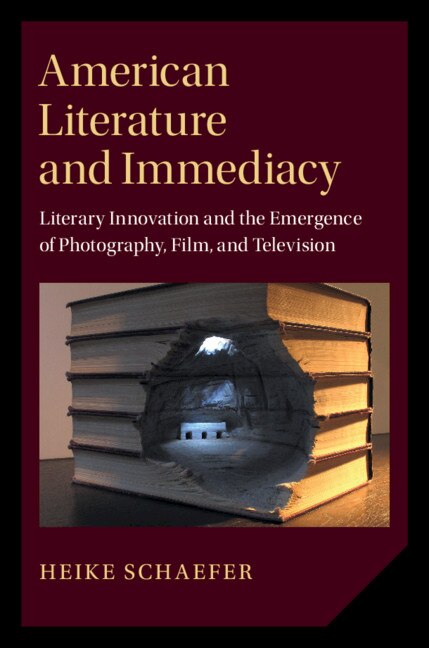 Front cover_American Literature And Immediacy