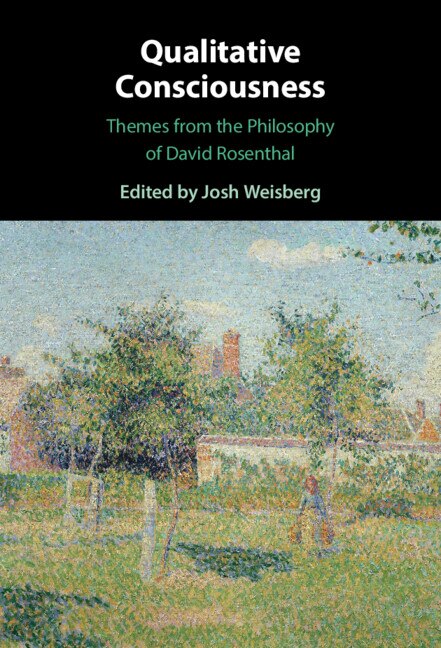 Couverture_Qualitative Consciousness