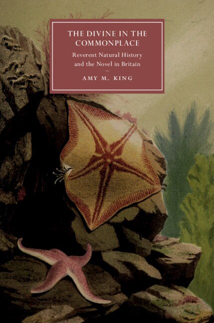 Front cover_The Divine In The Commonplace