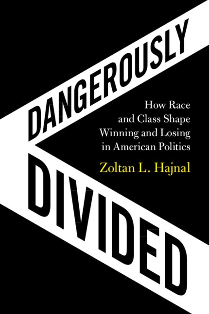 Front cover_Dangerously Divided