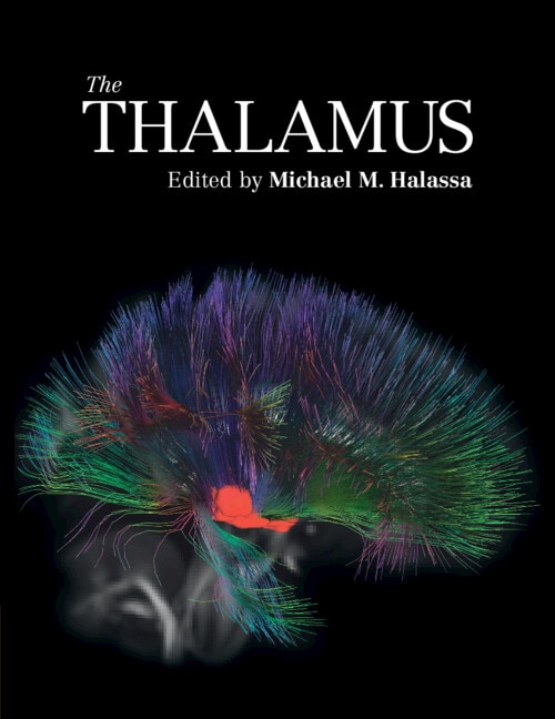 Front cover_The Thalamus