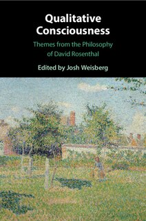 Front cover_Qualitative Consciousness