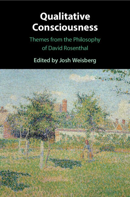 Front cover_Qualitative Consciousness