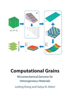 Computational Grains: Micromechanical Genome for Heterogeneous Materials