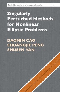 Couverture_Singularly Perturbed Methods For Nonlinear Elliptic Problems